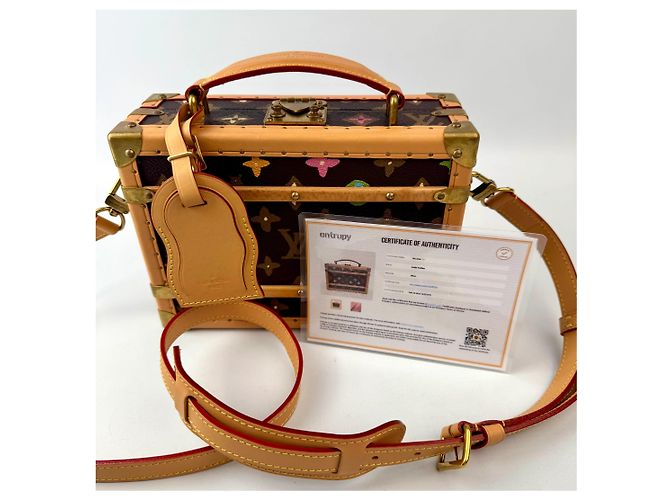 Borsa a tracolla Louis Vuitton Trunk Monogram Craggy Canva di Tyler, the Creator marrone M11120 Brown Rosa - vista 13