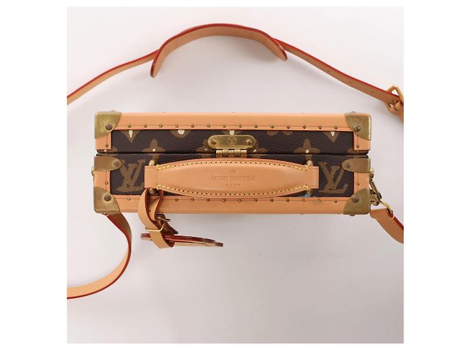 Borsa a tracolla Louis Vuitton Trunk Monogram Craggy Canva di Tyler, the Creator marrone M11120 Brown Rosa - vista 4
