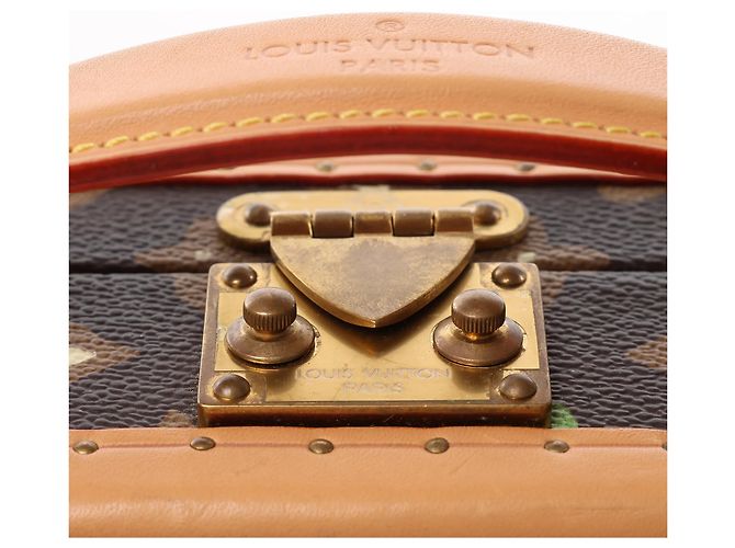 Borsa a tracolla Louis Vuitton Trunk Monogram Craggy Canva di Tyler, the Creator marrone M11120 Brown Rosa - vista 5