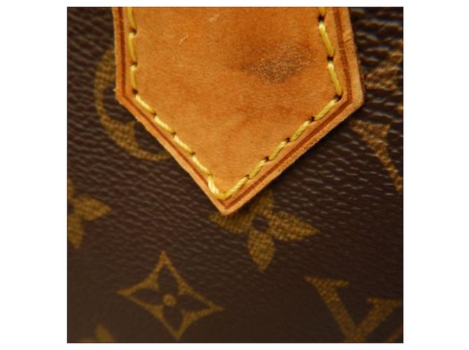 Borsa Louis Vuitton Monogram Alma Marrone - vista 14