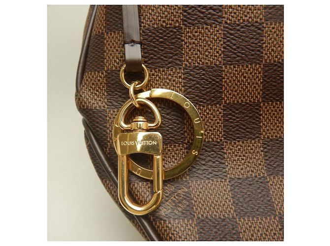 Borsa a Spalla Louis Vuitton Damier Delightful PM Damier ebene - vista 16