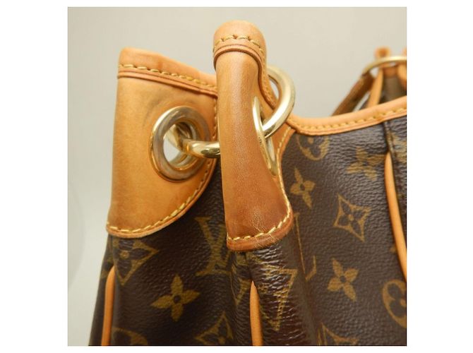 Borsa a Spalla Louis Vuitton Monogram Galliera PM Marrone - vista 10