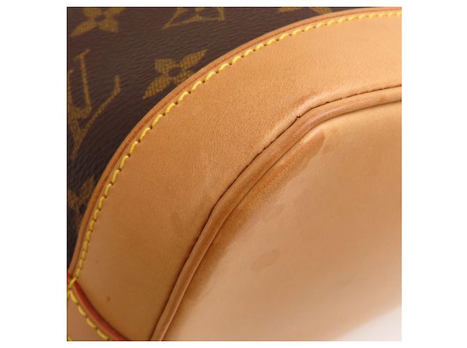 Borsa Louis Vuitton Monogram Alma Marrone - vista 24