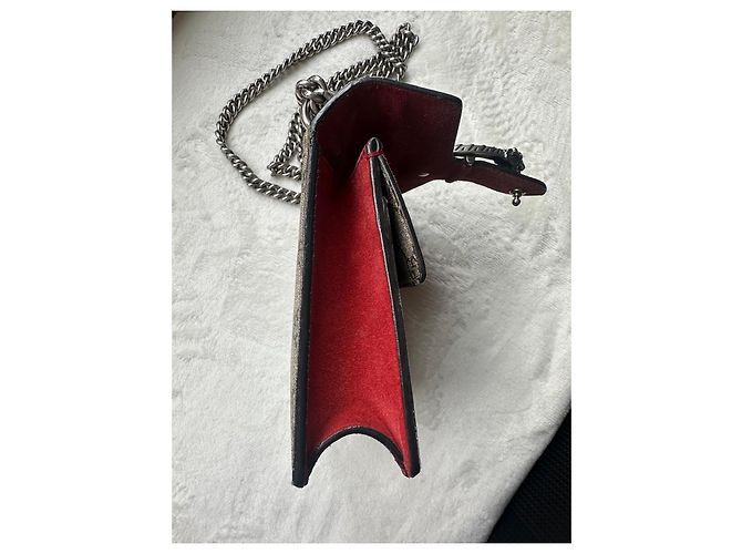 Gucci Dionysus GG Supreme Borsa a Catena Rosso Beige - vista 15