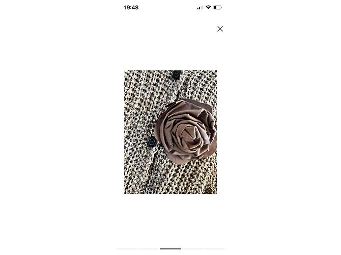 Brunello Cucinelli Strickjacke mit Blumen-Applikation Braun Beige - Ansicht 3