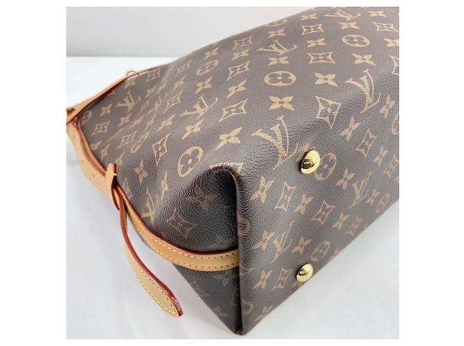 Borsa a tracolla Louis Vuitton Carryall NM MM Marrone - vista 8