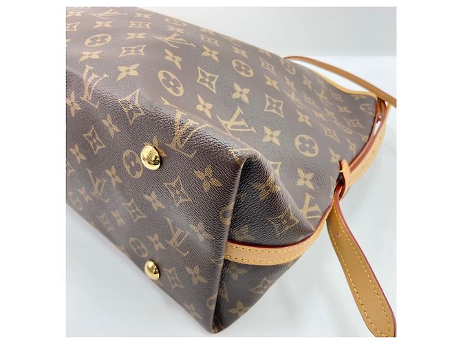 Borsa a tracolla Louis Vuitton Carryall NM MM Marrone - vista 9