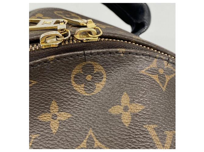 Zaino Louis Vuitton Monogram Palm Springs MM Marrone - vista 6