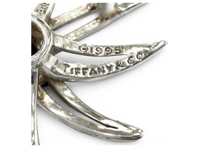 Orecchini a clip Onyx Fireworks di Tiffany & Co. Nero Argento - vista 6
