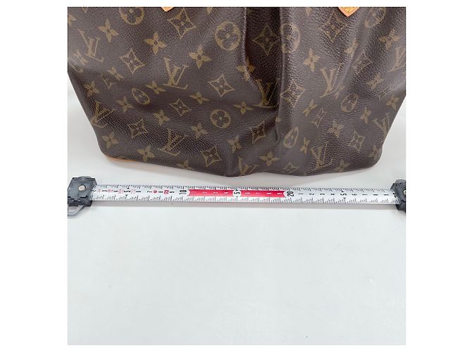 Borsa Louis Vuitton Palermo PM Marrone - vista 4
