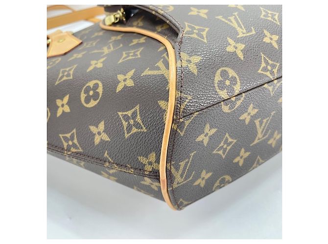 Borsa a tracolla Ellipse Louis Vuitton Marrone - vista 8