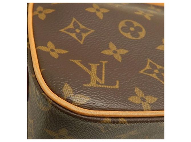 Louis Vuitton Marrone Monogram Viva Cite MM - vista 15