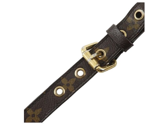 Louis Vuitton Marrone Monogram Pallas MM - vista 25