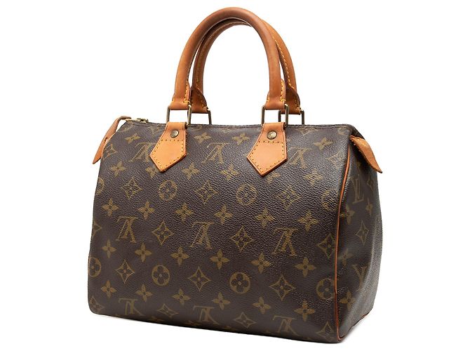 Louis Vuitton Marrone Monogram Speedy 25 - vista 2
