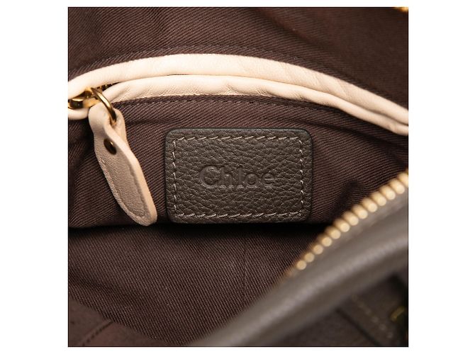 Borsa Chloé Gray Small Pebbled Leather Paraty Marrone Grigio antracite - vista 5