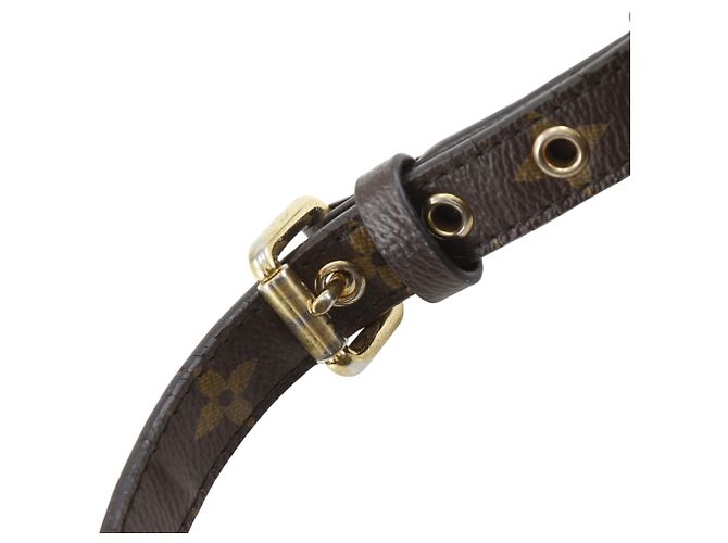 Louis Vuitton Marrone Monogram Pallas MM - vista 34