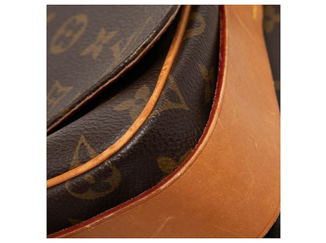 Louis Vuitton Marrone Monogram Cartouchiere MM - vista 6