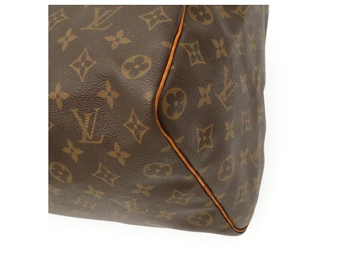 Speedy Borsa Boston Monogram Louis Vuitton Marrone - vista 3