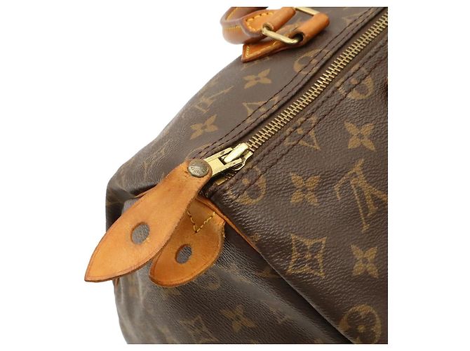 Speedy Borsa Boston Monogram Louis Vuitton Marrone - vista 5
