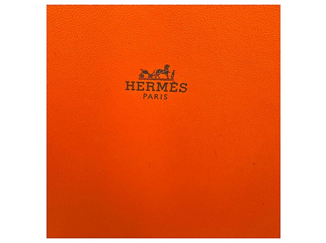 Hermès Sandali Oran H in pelle nera Stampa python - vista 16