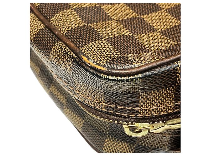 Borsa a Spalla Louis Vuitton Olaf PM Marrone - vista 6