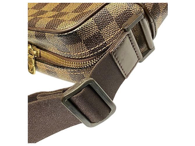 Borsa a Spalla Louis Vuitton Olaf PM Marrone - vista 8