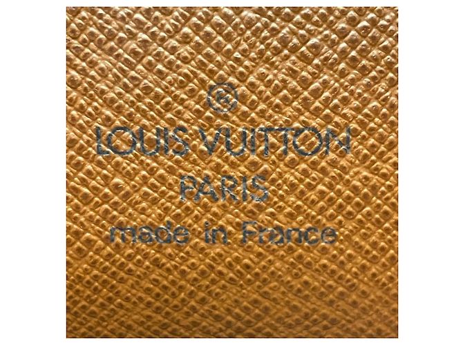 Borsa a Spalla Louis Vuitton Amazon Monogramma - vista 4