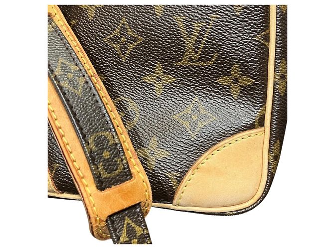Borsa a Spalla Louis Vuitton Amazon Monogramma - vista 9