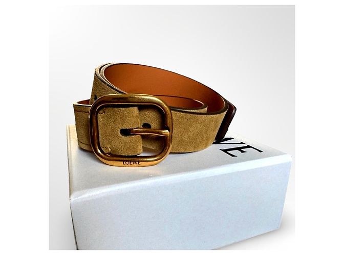 Loewe Gürtel aus Wildleder in der Farbe Rusty GO - Ansicht 10