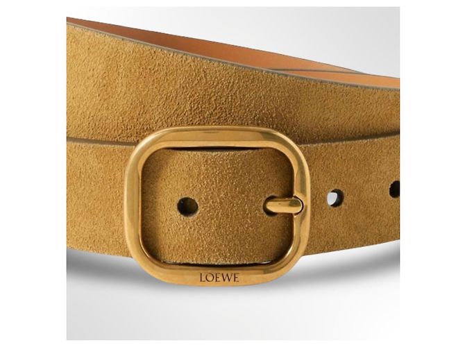 Loewe Gürtel aus Wildleder in der Farbe Rusty GO - Ansicht 11