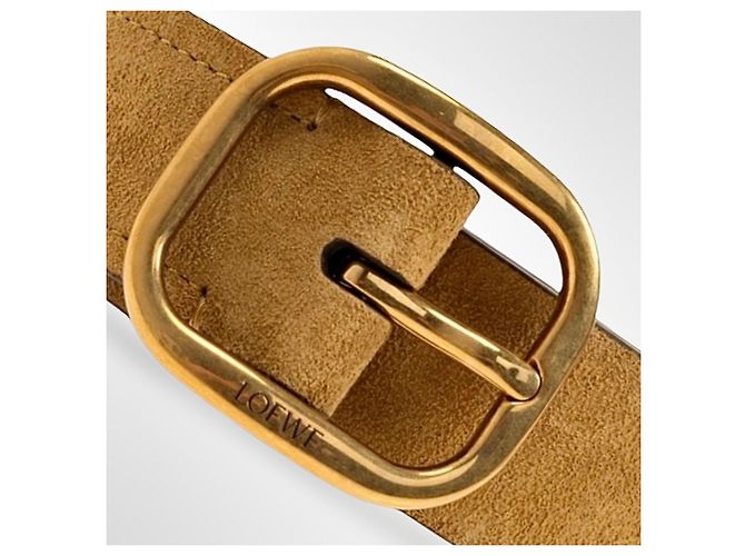Loewe Gürtel aus Wildleder in der Farbe Rusty GO - Ansicht 12