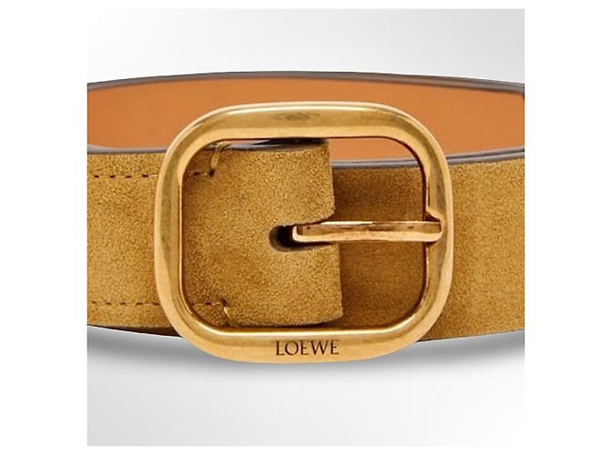 Loewe Gürtel aus Wildleder in der Farbe Rusty GO - Ansicht 14