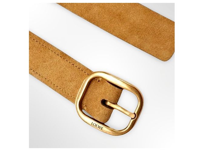 Loewe Gürtel aus Wildleder in der Farbe Rusty GO - Ansicht 15