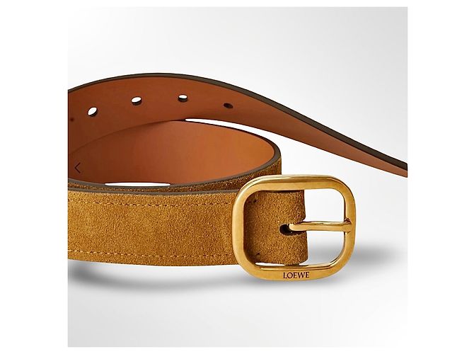 Loewe Gürtel aus Wildleder in der Farbe Rusty GO - Ansicht 4