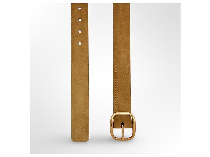 Loewe Gürtel aus Wildleder in der Farbe Rusty GO - Ansicht 5