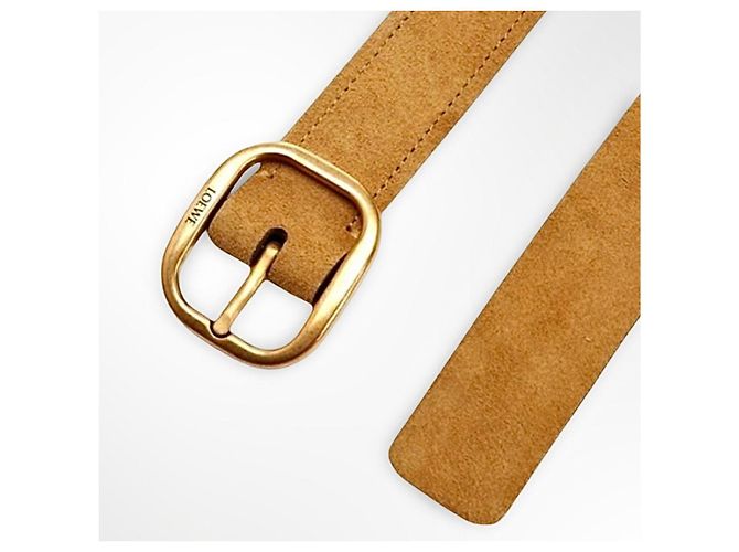 Loewe Gürtel aus Wildleder in der Farbe Rusty GO - Ansicht 8