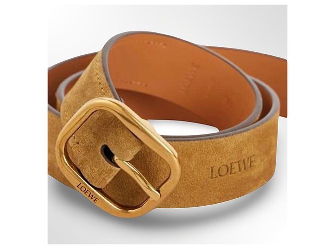 Loewe Gürtel aus Wildleder in der Farbe Rusty GO - Ansicht 9