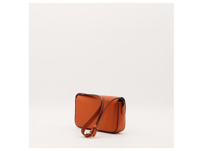 Céline Borsa Triomphe in pelle di vitello Marrone - vista 4