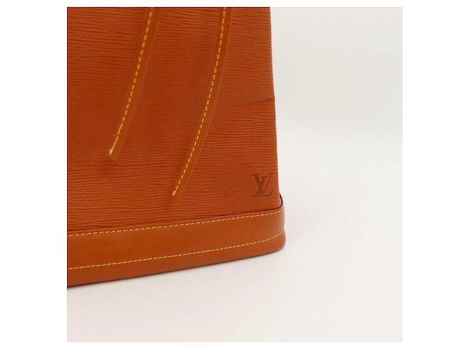 Borsa a secchiello Epi Noe Louis Vuitton Marrone - vista 8