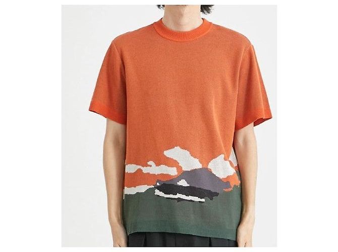 Autre Marque Camiseta de punto de algodón Kota Gushiken Kiyomizu Dera Tee Naranja - vista 3