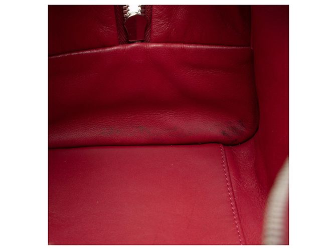Borsa in pelle Loewe Amazona 28 Rosso - vista 10