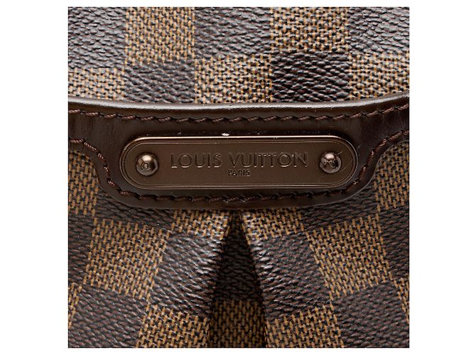 Borsa a Spalla Louis Vuitton Damier Ebene Bloomsbury PM Marrone - vista 9