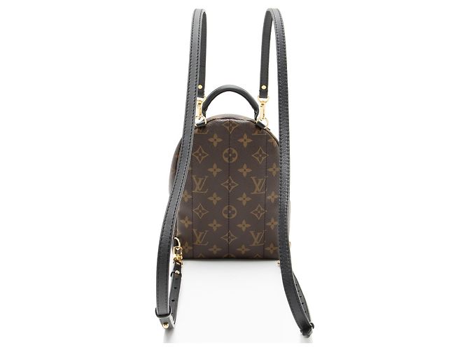 Louis Vuitton Monogram Canvas Palm Springs Mini Rucksack Schwarz - Ansicht 3