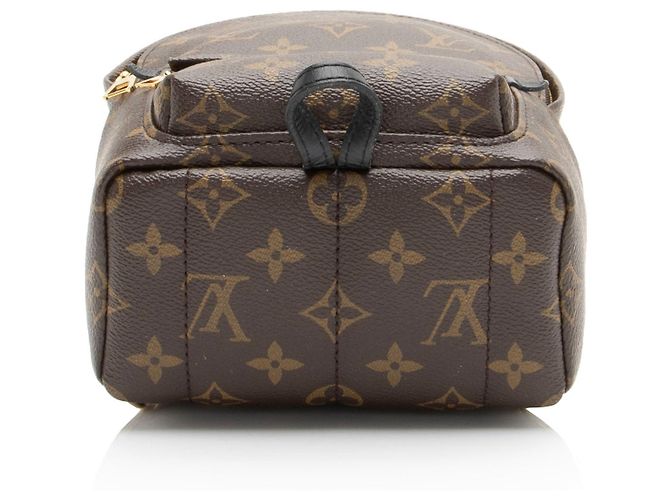 Louis Vuitton Monogram Canvas Palm Springs Mini Rucksack Schwarz - Ansicht 4
