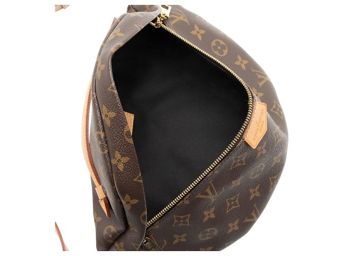 Bumbag in tela Monogram Louis Vuitton Marrone - vista 7
