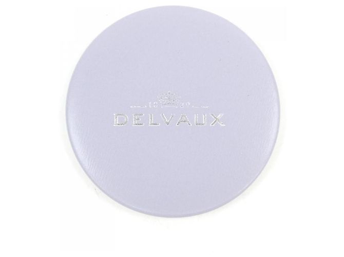 Borsa Delvaux Brillant BOX CALF Porpora - vista 8