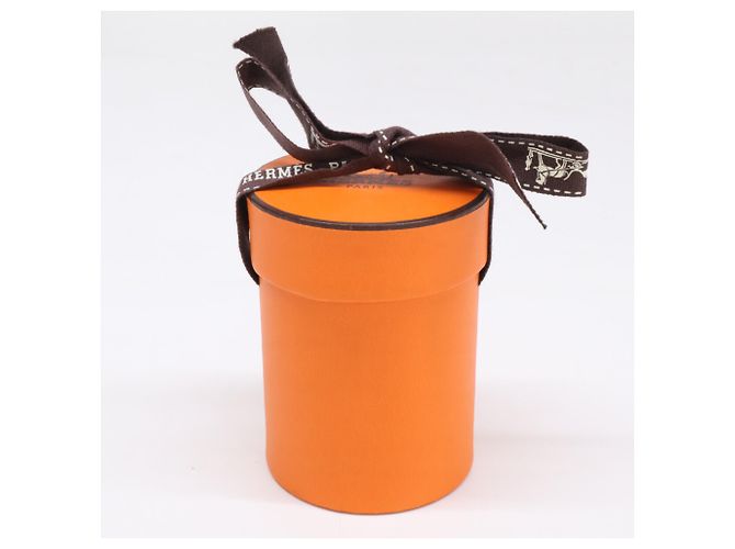 Hermès Hermes Royal Collection Seidentuch Twilly Türkis - Ansicht 9