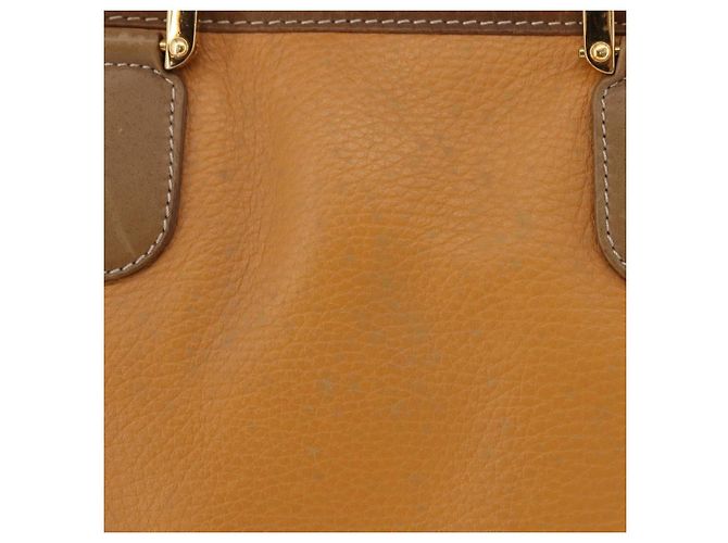 Borsa a mano LOEWE Amazona 40 in pelle marrone oro Auth 193805A D'oro - vista 3