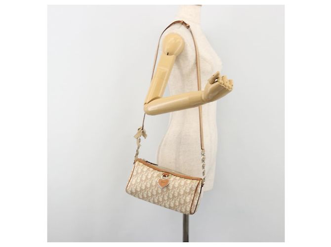 Borsa a tracolla Christian Dior Trotter Canvas Romantic PVC Avorio Argento Auth 190263A Crudo - vista 24