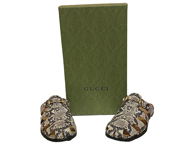 Sandálias Gucci couro efeito pitão Impressão em python Gold hardware - vista 2